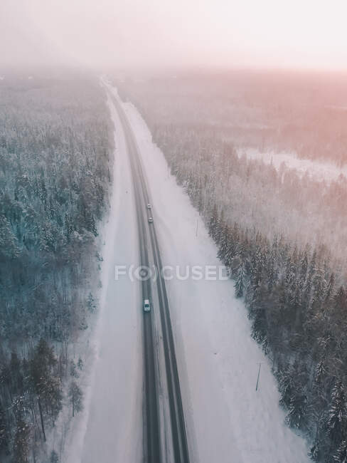 Vue aérienne de la route tranquille entre les bois de conifères enneigés dans la brume — Photo de stock
