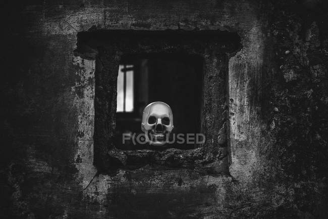 Crâne dans la fenêtre sur un vieux mur minable — Photo de stock