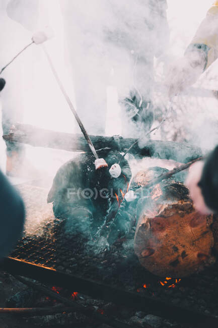 Crop people gathering around burning logs and frying marshmallow on sticks in steam and sunlight - foto de stock