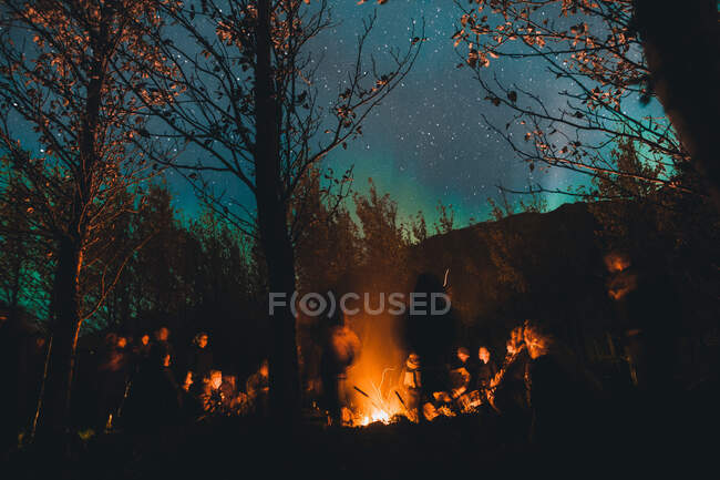 Group of people gathering around fire in woods — Stock Photo