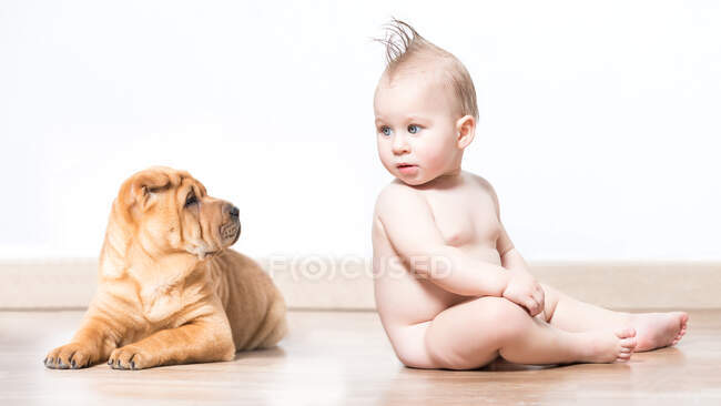 Vista lateral do menino nu bonito sentado e olhando para o cão Shar-Pei no fundo branco. — Fotografia de Stock