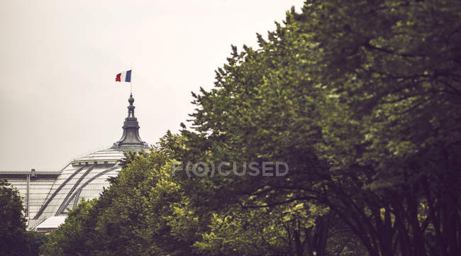 Tetto del Grand Palais con bandiera della Francia dietro gli alberi, Parigi, Francia — Foto stock