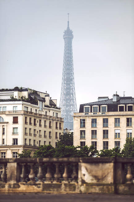 Дома среди зеленых деревьев на фоне Эйфелевой башни, Париж, Франция — стоковое фото