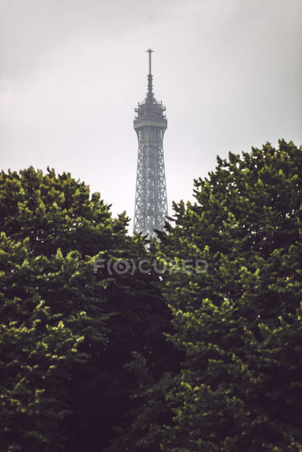 Ейфелева вежа серед зелені дерева на фоні, Париж, Франція — стокове фото