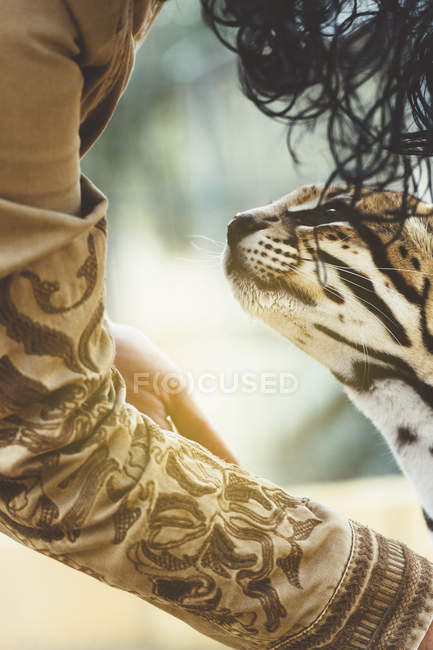 Close-up de pessoa acariciando leopardo no zoológico — Fotografia de Stock