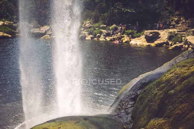 Vista mozzafiato del sottile corso d'acqua che cade dalla scogliera nella maestosa giungla messicana — Foto stock