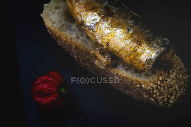 Маленький красный перец рядом с хлебом с консервированной рыбой на сковороде — стоковое фото