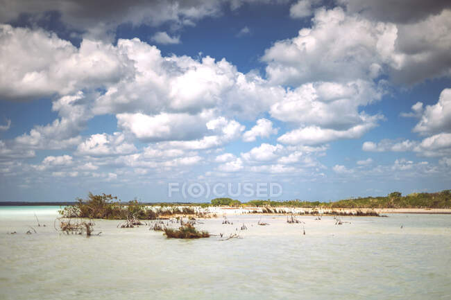 Узбережжя величного моря каріба. — стокове фото