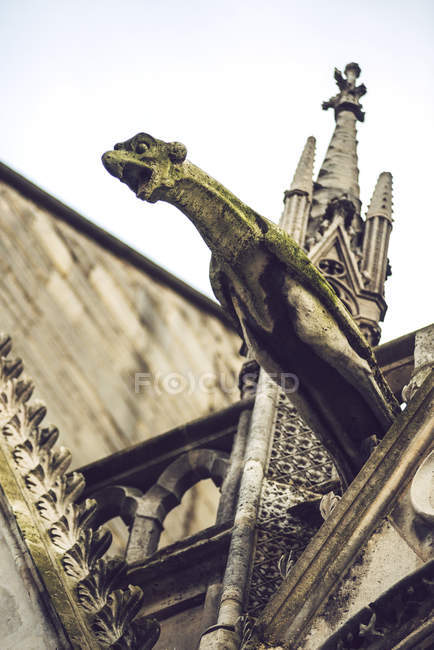 Nahaufnahme einer fiktiven Kreatur, die die Fassade von Notre Dame de Paris, Paris, Frankreich schmückt — Stockfoto