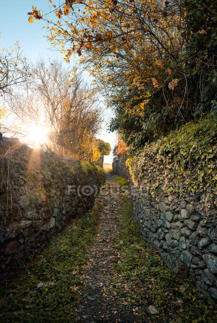 Perspective view of narrow walkway between old rocky fence with autumnal trees, Spain — Stock Photo