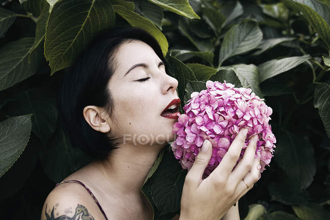 Чувственная молодая женщина трогает розовый цветок, растущий на кусте — стоковое фото