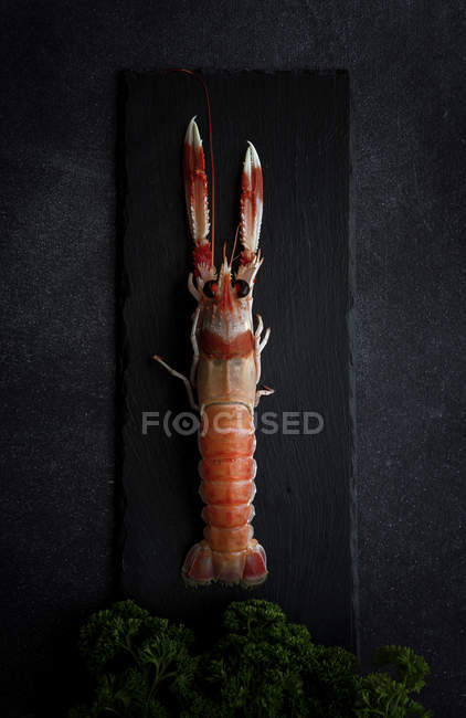 Crevettes bouillies sur ardoise noire avec bouquet de persil frais — Photo de stock