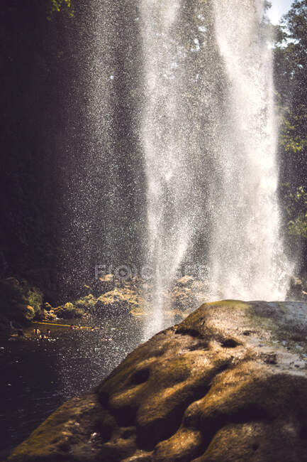 Потрясающий вид на тонкий поток воды, падающей со скалы в величественных мексиканских джунглях — стоковое фото