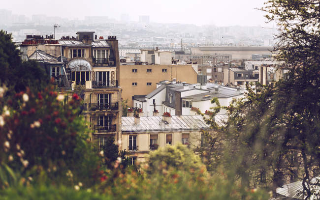 Дерева і будинок дахи, покриті туман, Париж, Франція — стокове фото