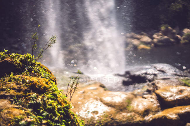 Impresionante vista de la delgada corriente de agua que cae desde el acantilado en la majestuosa selva mexicana - foto de stock