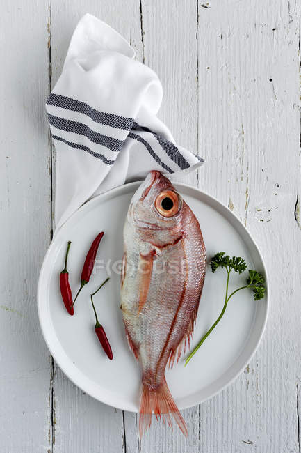 Raw red sea bream on plate with small red peppers and parsley on white wooden tabletop — Stock Photo