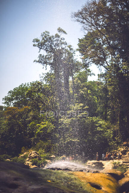 Foglie gialle galleggianti in acqua di piccolo ruscello nella giungla messicana sorprendente — Foto stock