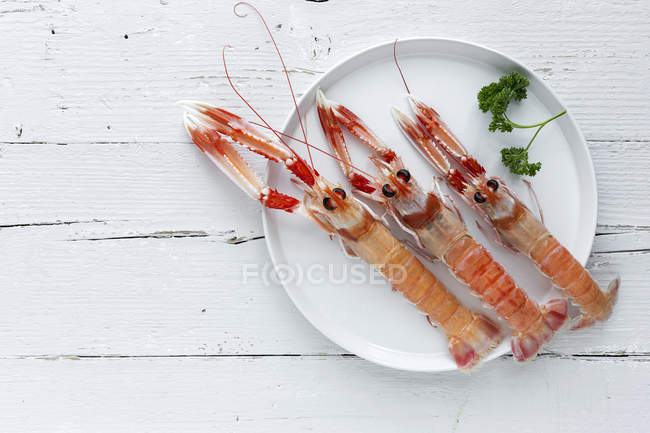 Trois crevettes bouillies sur plaque avec brin de persil sur plateau en bois blanc — Photo de stock