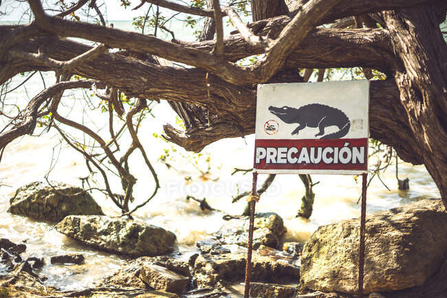 Weathered crocodile warning sign standing near tropical river in Mexican Caribbean — Stock Photo
