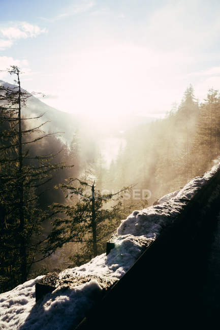Nevoeiro da manhã acima de árvores e montanhas com encostas nevadas — Fotografia de Stock