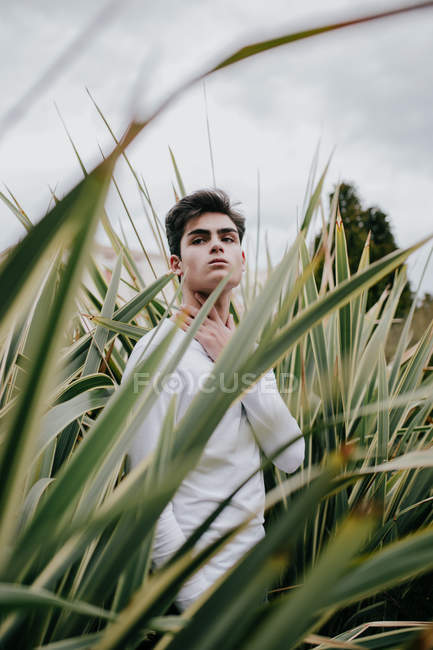 Bonito jovem na moda adolescente de pé em arbusto verde — Fotografia de Stock