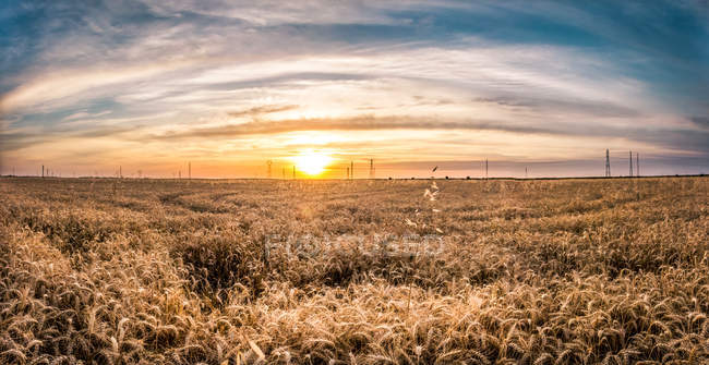 Захід сонця в хмарному небі над спокійним полем — стокове фото