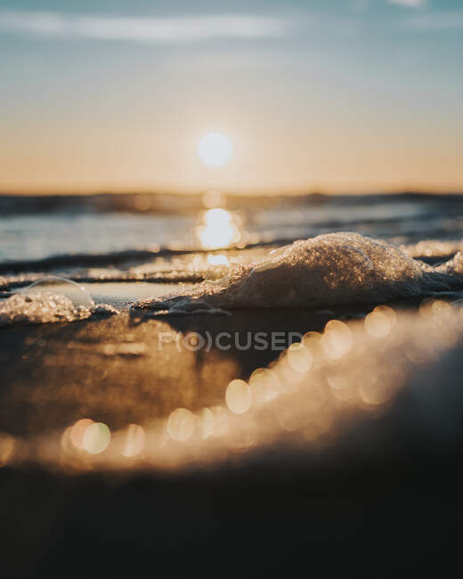 Close-up derretendo pedaços de gelo na costa e a água em luzes de pôr do sol. — Fotografia de Stock