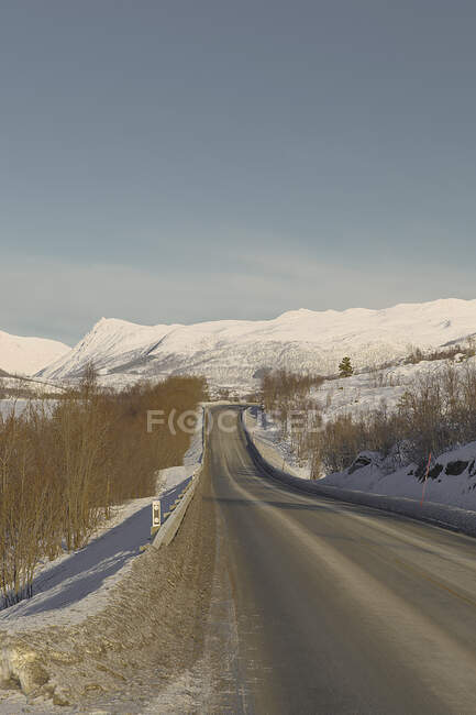 Strada solitaria di Lofoten — Foto stock