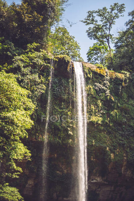 Vista mozzafiato del sottile corso d'acqua che cade dalla scogliera nella maestosa giungla messicana — Foto stock