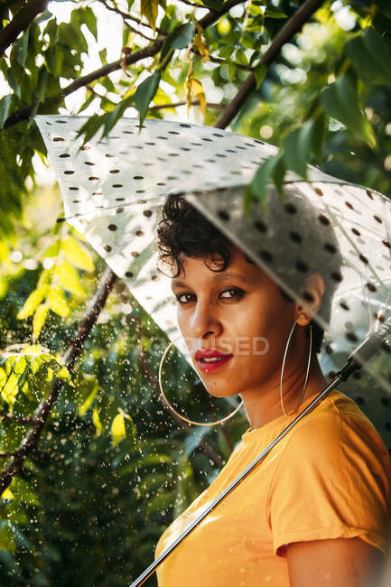 Vista lateral de atractiva hembra joven con paraguas mirando a la cámara mientras está de pie bajo ramas de árboles húmedos en un día soleado en la selva - foto de stock