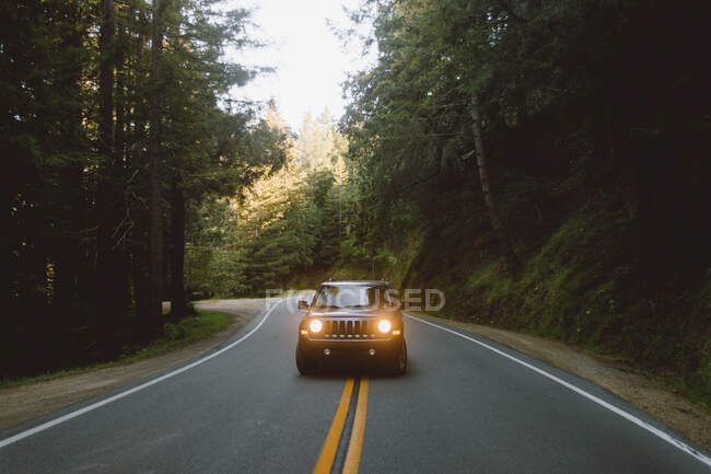 Carro moderno andando no meio da estrada de asfalto em magnífica floresta — Fotografia de Stock