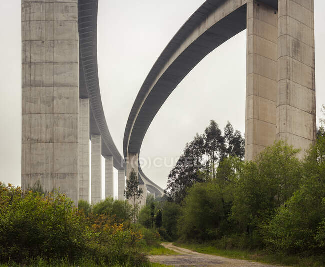 Schönes weißes Viadukt mit Bäumen unten — Stockfoto