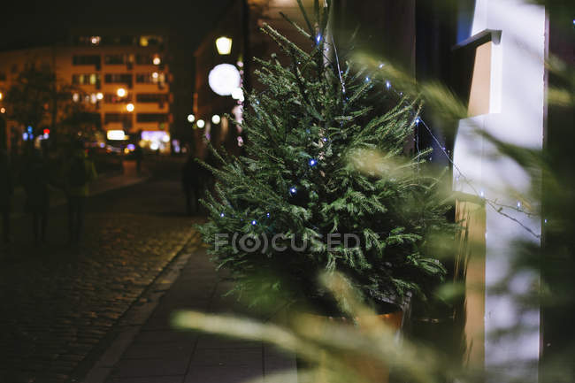 Соснове дерево в горщику з гірляндами і вогнями, прикрашений вхід в будинок на Різдво на вулиці вночі — стокове фото