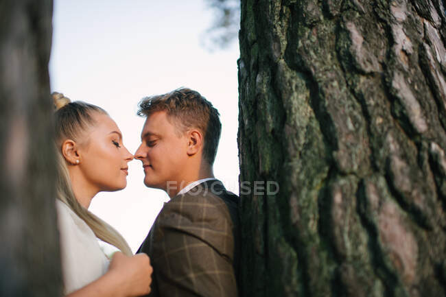 Seitenansicht des frisch vermählten Paares, das in der Natur Nasen berührt und am Baum kuschelt — Stockfoto