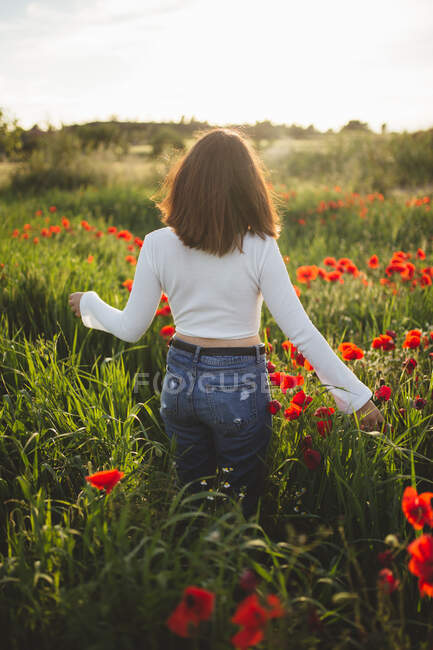 Anonymous woman walking in poppy field — Stock Photo