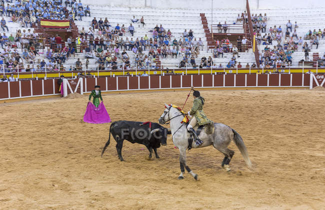 Spain, Tomelloso - 28. 08. 2018. View of bullfighter riding horse and fighting with bull on sandy area with people on tribune — Stock Photo