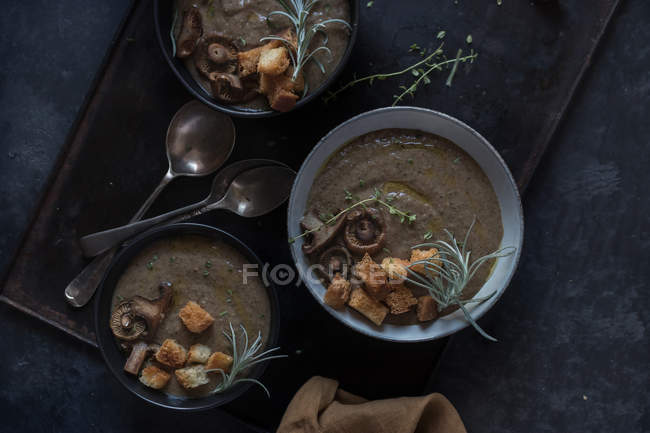 Sopa de crema de champiñones con croutons en cuencos sobre fondo oscuro - foto de stock