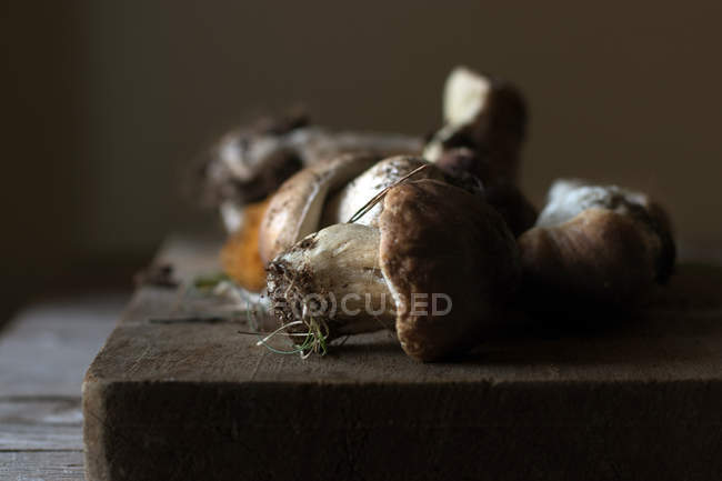 Tas de champignons bolet edulis fraîchement cueillis avec des racines et de la saleté — Photo de stock