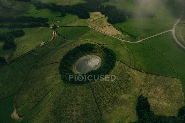 Вид с воздуха на маленькое озеро, окруженное зеленым лесом и огромным полем — стоковое фото