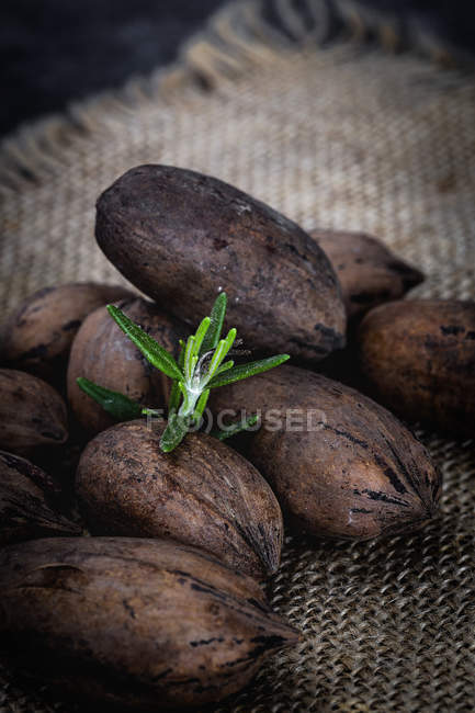 Dried nuts in shells on sackcloth with rosemary sprig — Stock Photo