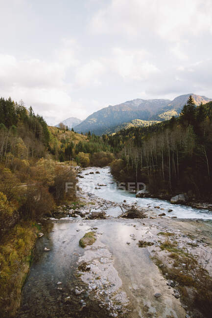 Amazing river going through beautiful forest on cloudy autumn day in magnificent Italian Alps — Stock Photo