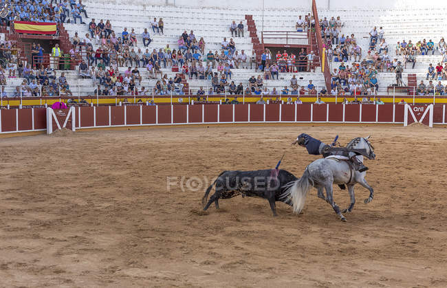 Испания, Томеллосо - 28. 08. 08 2018 год. Вид на быка верхом на лошади и бой с быком на песчаной площади с людьми на трибунах — стоковое фото