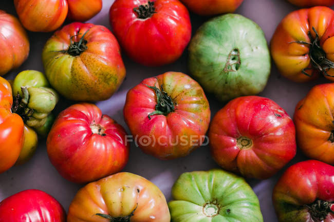 Фон свежих полуспелых зеленых и красных помидоров — стоковое фото