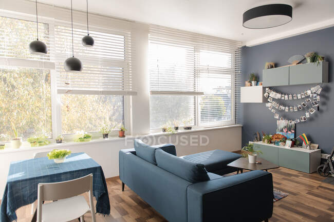 Comodo divano in piedi vicino a mobili in camera elegante di appartamento moderno nella giornata di sole — Foto stock