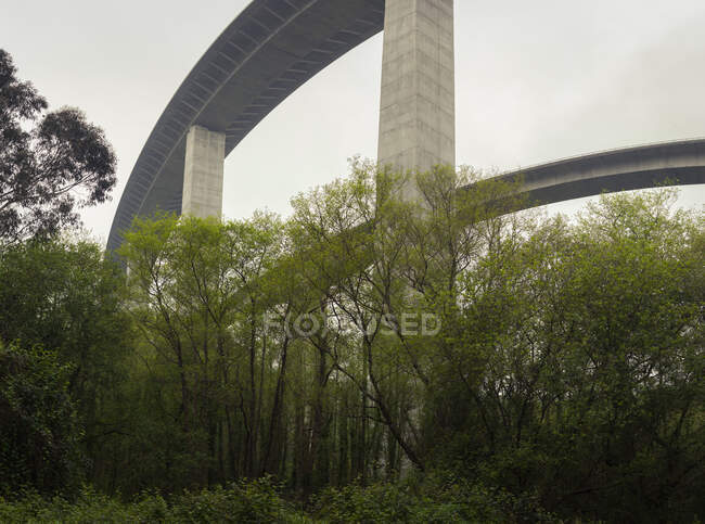 Schönes weißes Viadukt mit Bäumen unten — Stockfoto