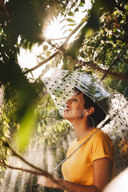 Vista lateral de atractiva hembra joven con paraguas mirando a la cámara mientras está de pie bajo ramas de árboles húmedos en un día soleado en la selva - foto de stock