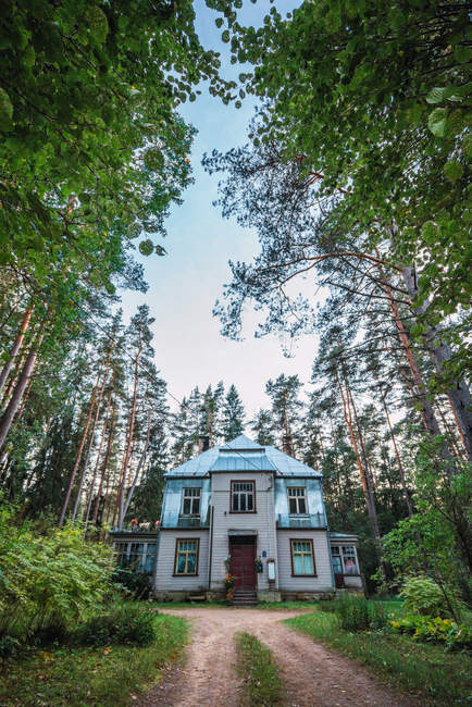 Дорога до великого будинку в зеленому лісі — стокове фото