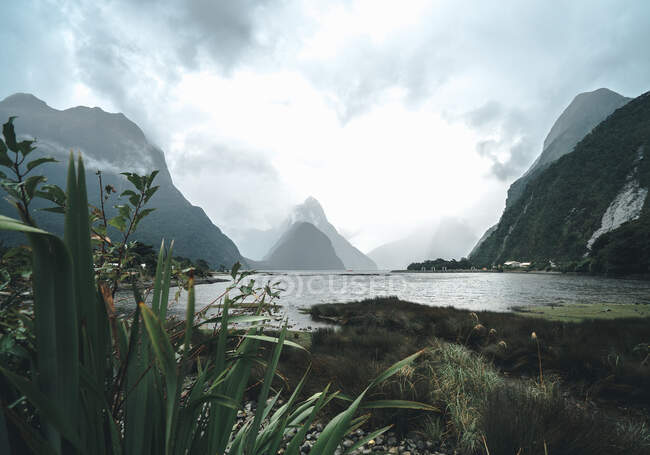 Thick clouds floating over amazing mountains and calm water on magnificent day in Fiordland National Park in New Zealand — Stock Photo