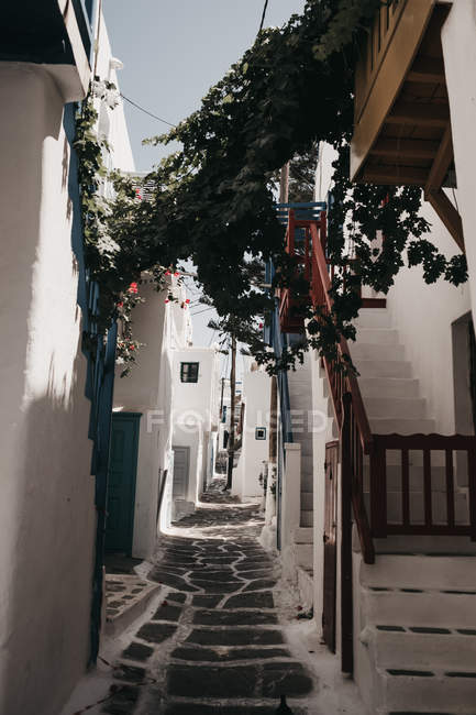Небольшая улица между древними белыми домами и кустарниками в Миконосе, Греция — стоковое фото