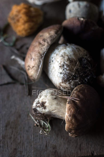 Montão de cogumelos boletus edulis recém-colhidos com raízes e sujeira na madeira — Fotografia de Stock